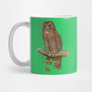 Lonely Owl Realistic Drawing Mug